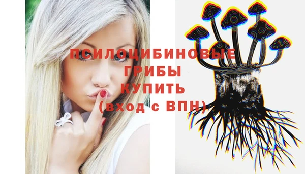 бошки Алексин