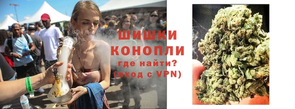 бошки Алексин