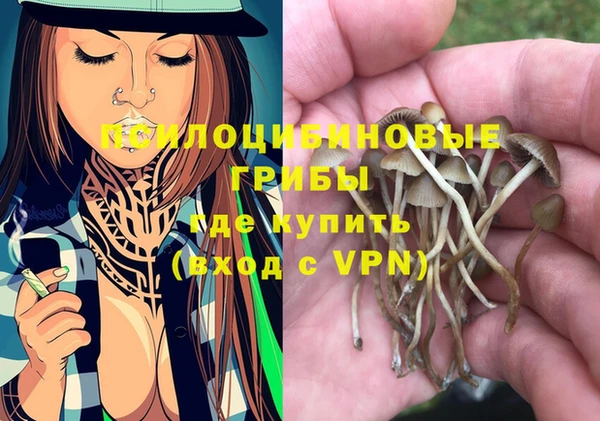 бошки Алексин